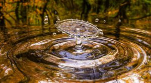 The picture of a stream with pure drinking water.