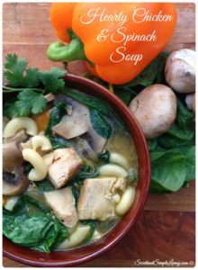 The amazing picture of hearty chicken and spinach soup.