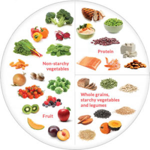 The graph of the four essential food categories, laid out in their blocks.