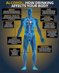 The illustration of the inner parts of the human body, and content explaining the effects alcohol will have on certain sections.